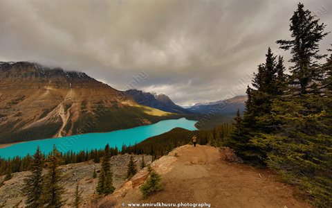 Nature photography, Lake Peyto, Banff National Park, Canada picture for sale, Amirul Khusru Photography